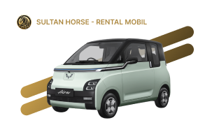 Wuling Air Ev Semua Warna, tersedia untuk rental di Sultanhorse Rental Mobil